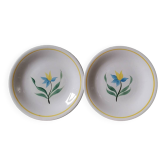 Set of 2 vintage flower pattern plates made in France