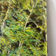 La Mare à Piat, Foret de Fontainebleau, signed R Vacher