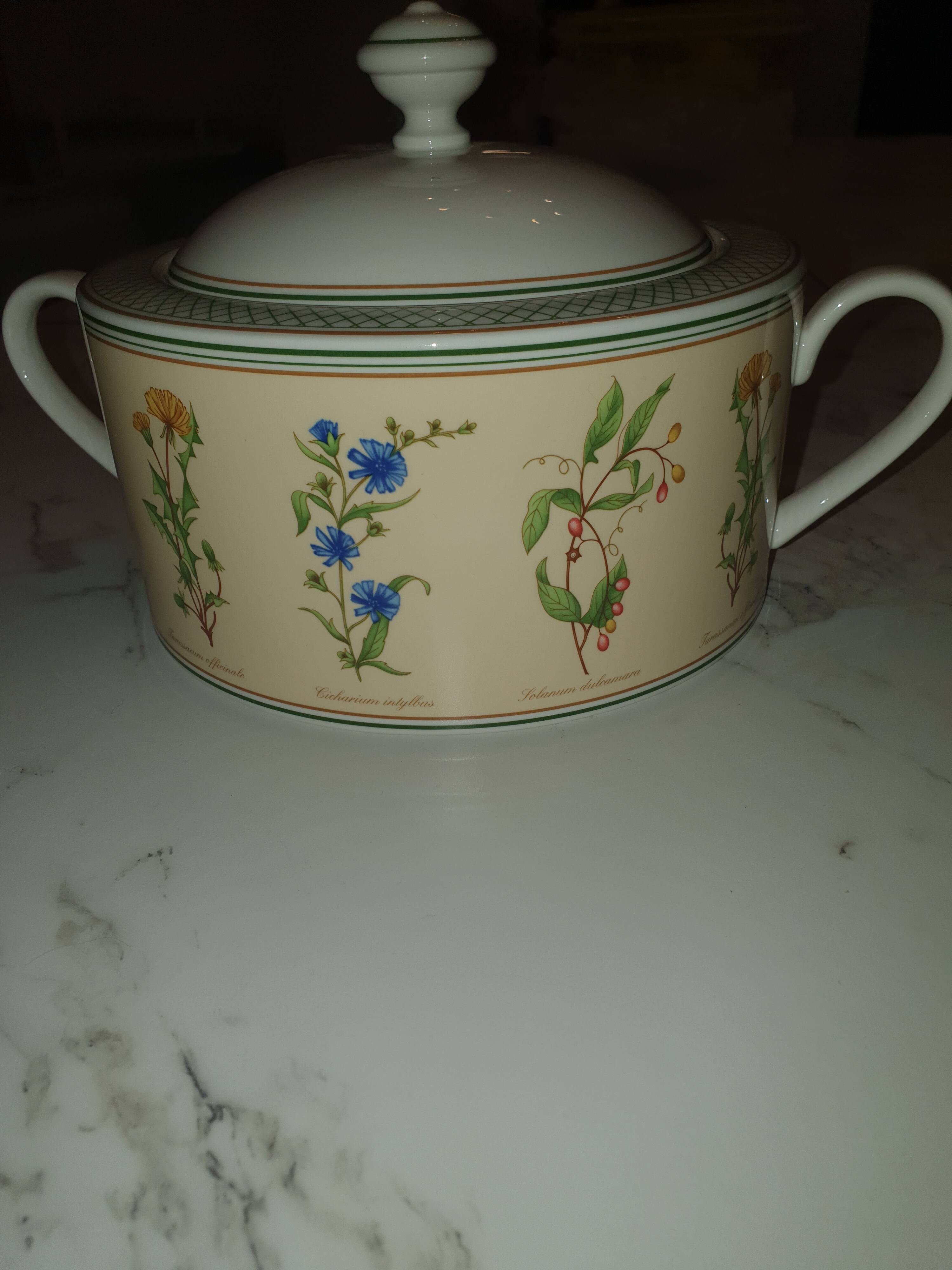 Soup tureen VILLEROY BOCH Model EDEN