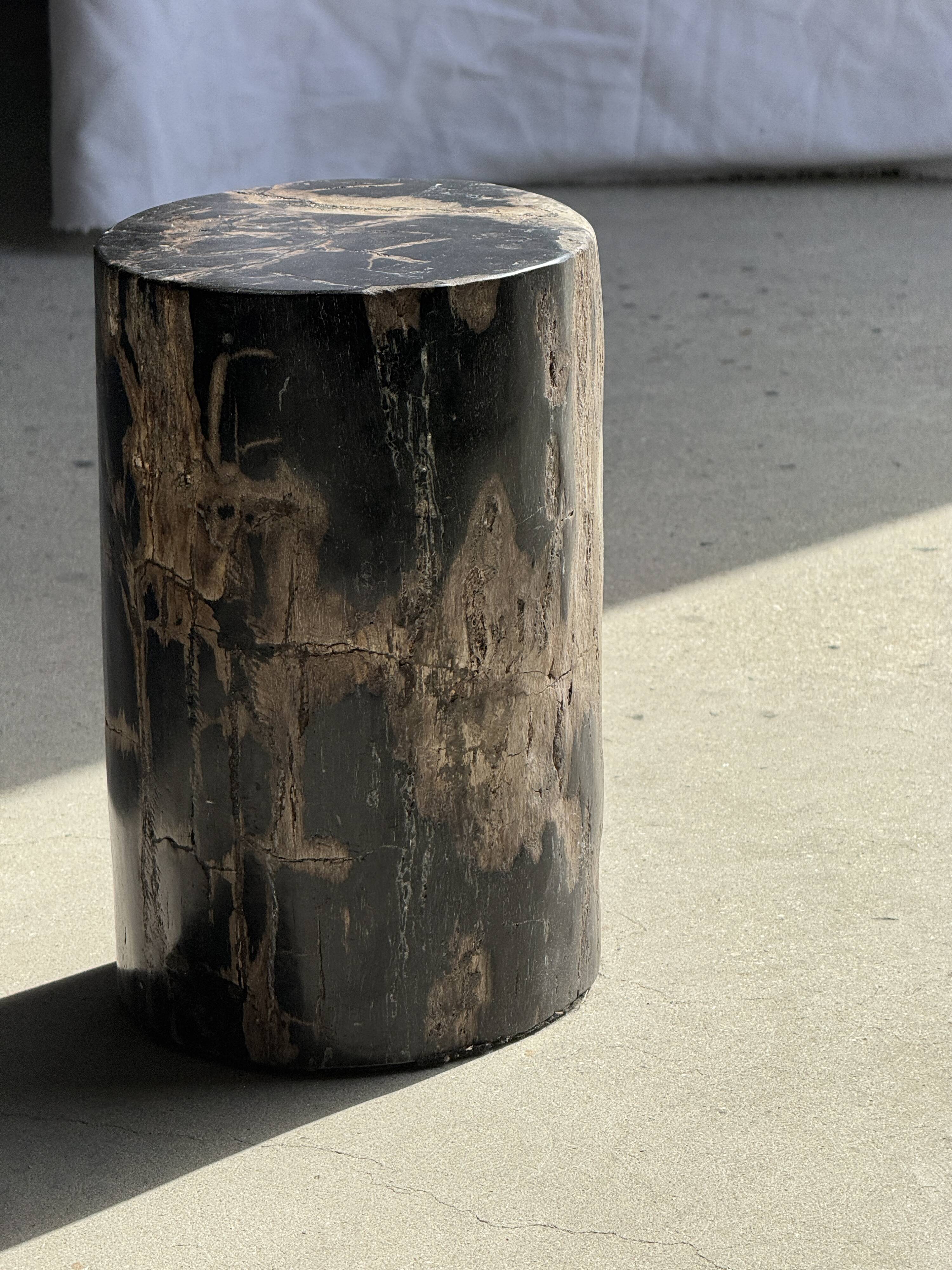 Table d'appoint en bois pétrifié noir
