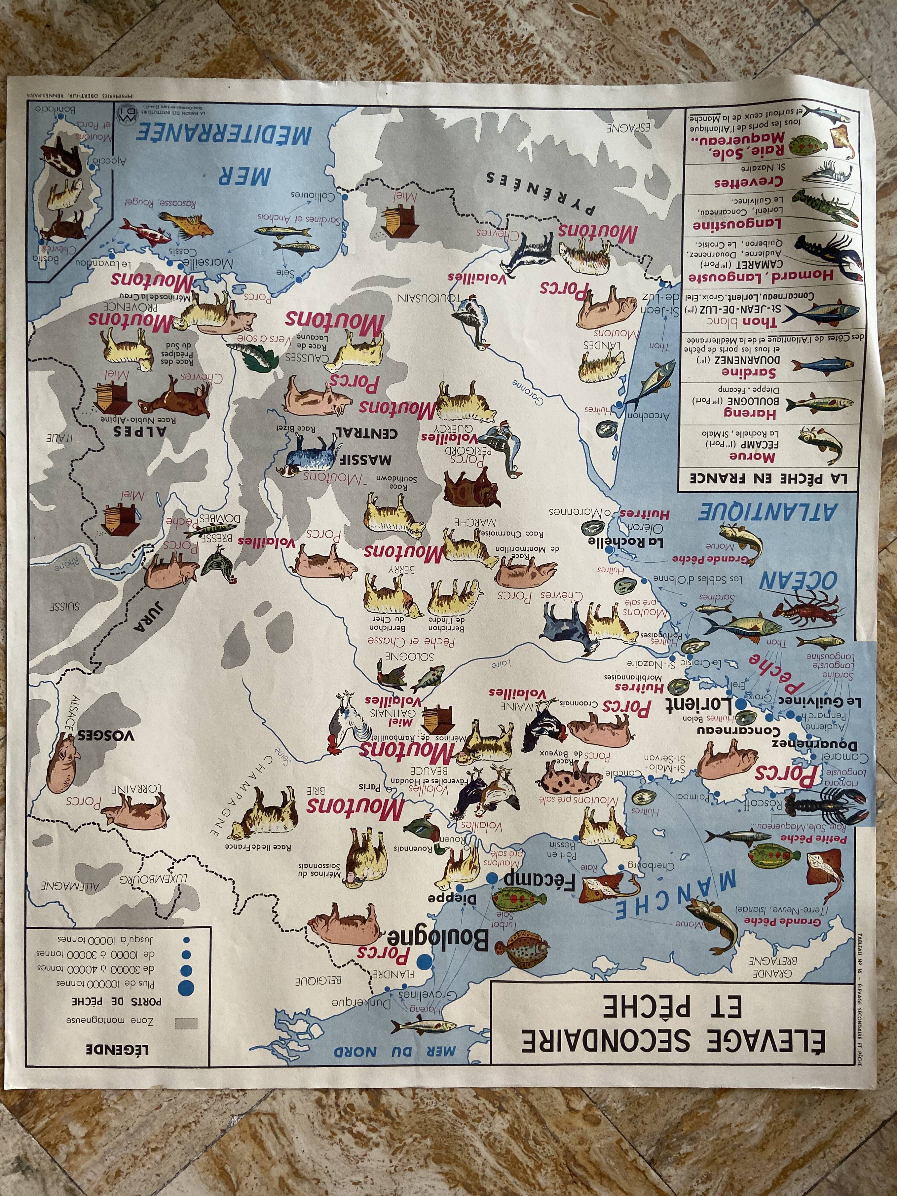 Old vintage school poster