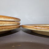 4 flat sandstone plates
