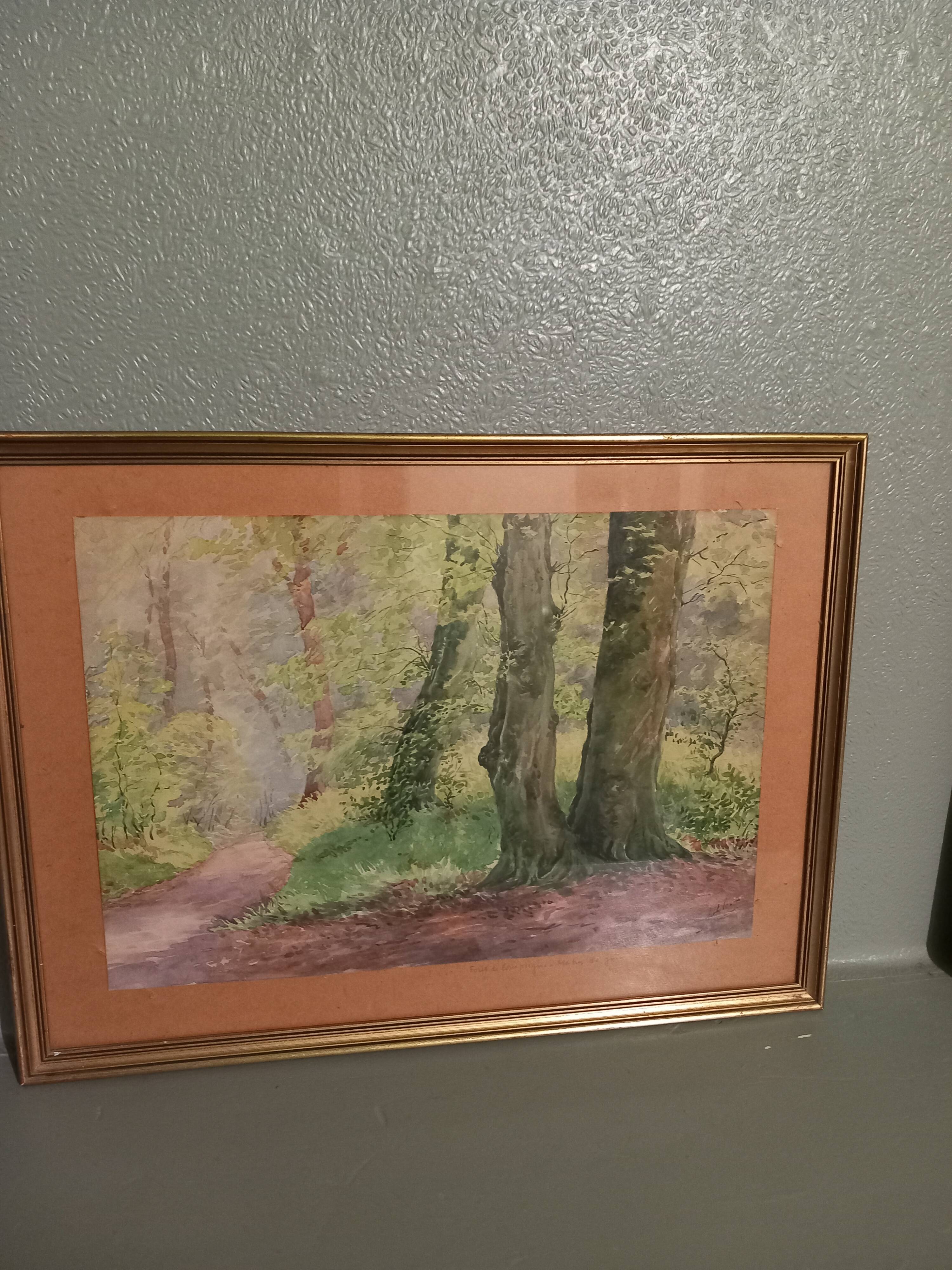 Old table-forest landscape