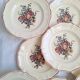 Flat plates Digoin Sarreguemines Model Loraine