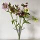 Antique cornet vase 26 cm