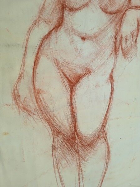 Drawing sanguine study nude female 67/50cm 1950