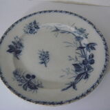Set of two ripe plates