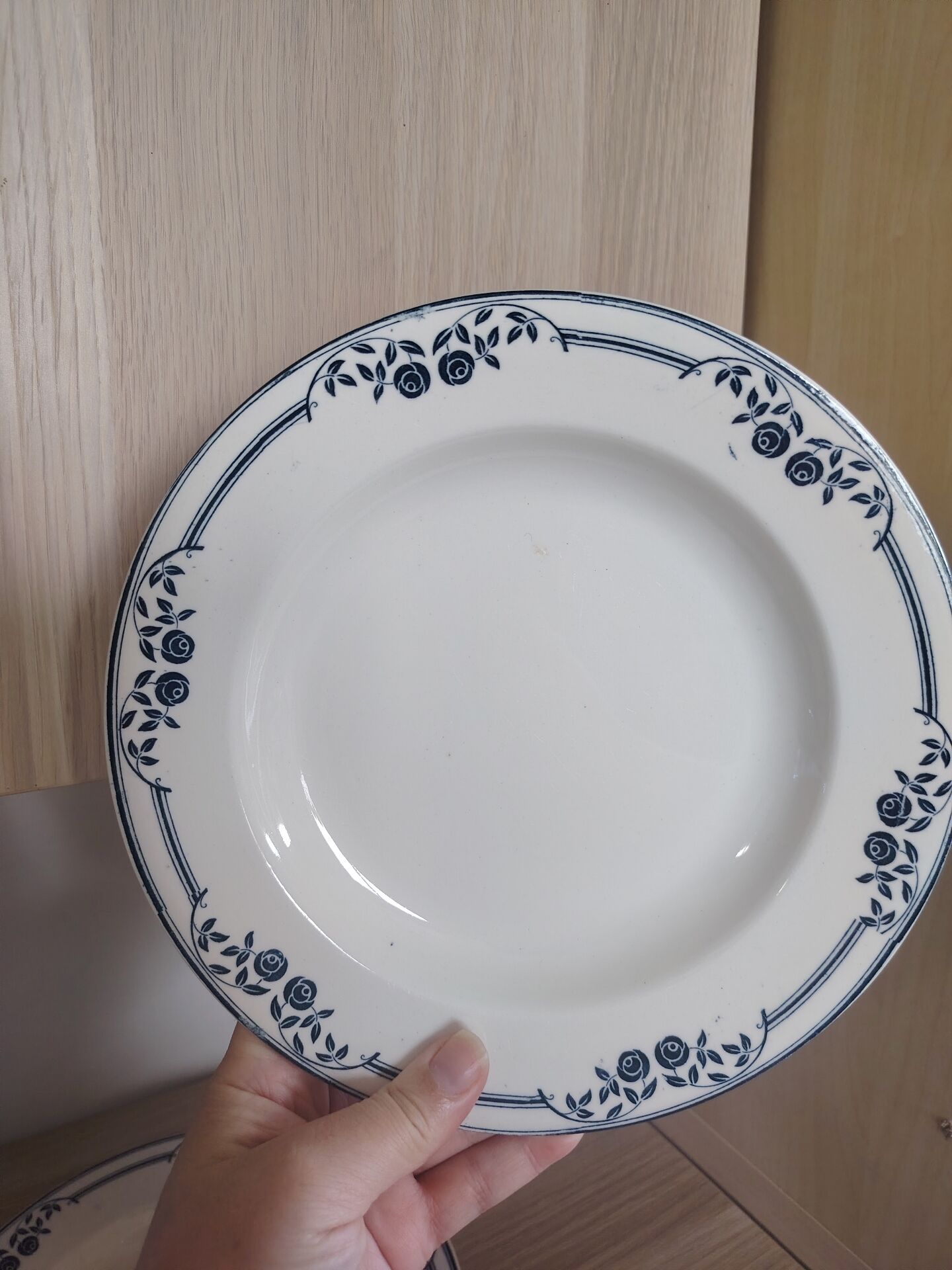 Deep plates ironstone Saussure
