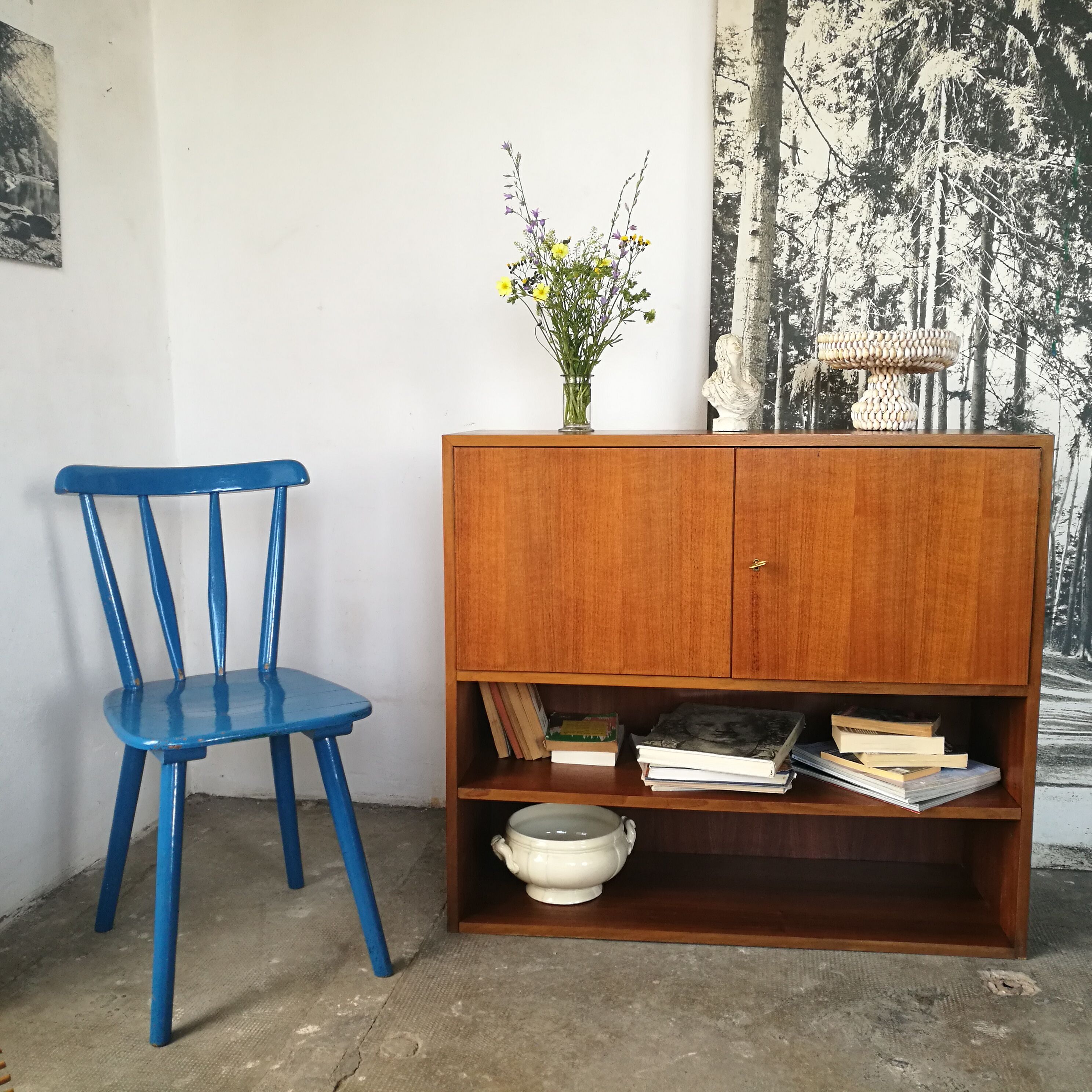 Shelf, mid century library