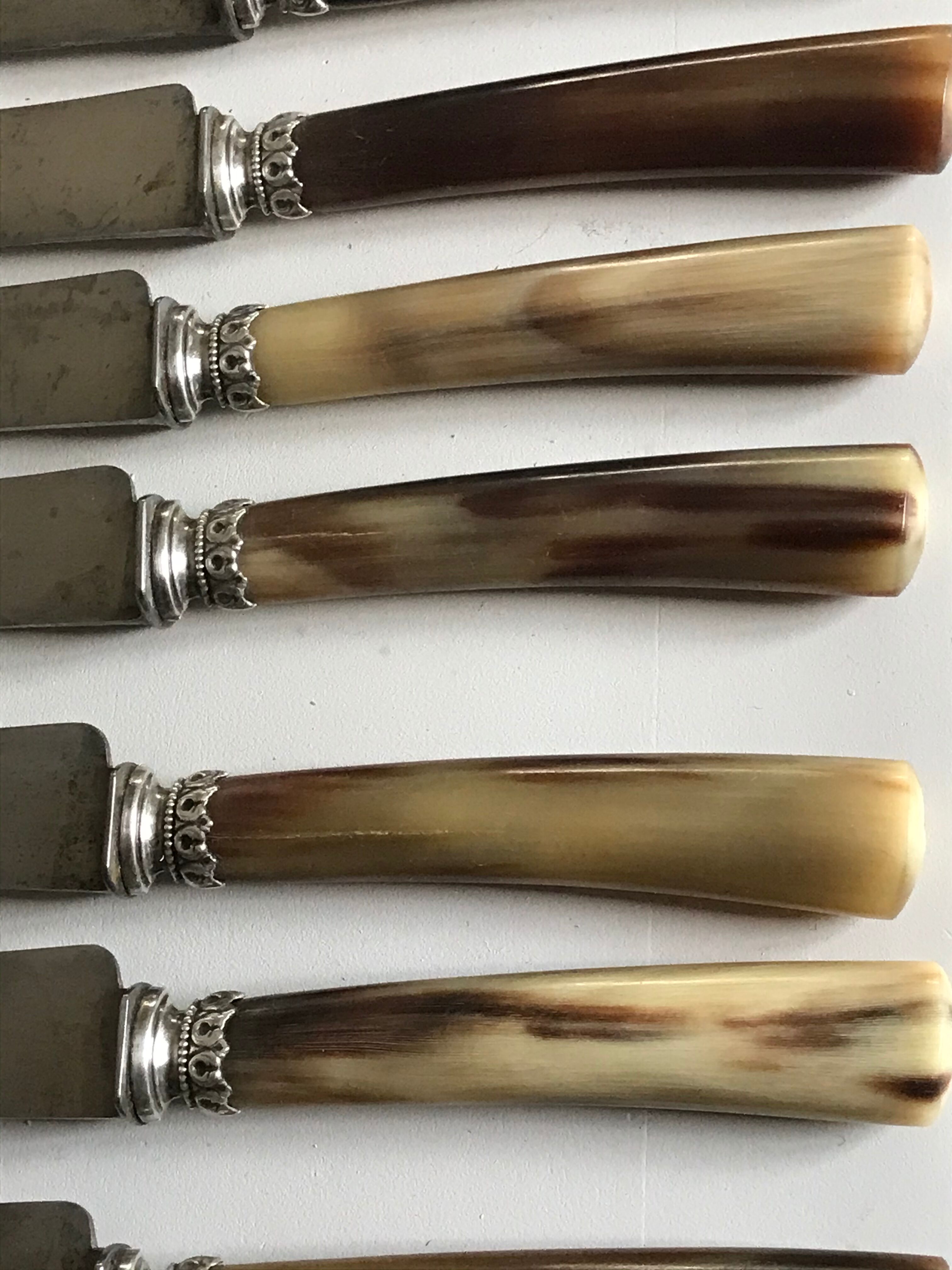Lot of 24 horn handle knives circa 1900