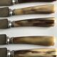 Lot of 24 horn handle knives circa 1900
