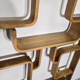Room Divider by Ludvik Volak for Drevopodnik Holesov, 1950s