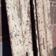 "Ethnic" double door, antique (19th/early 20th century)