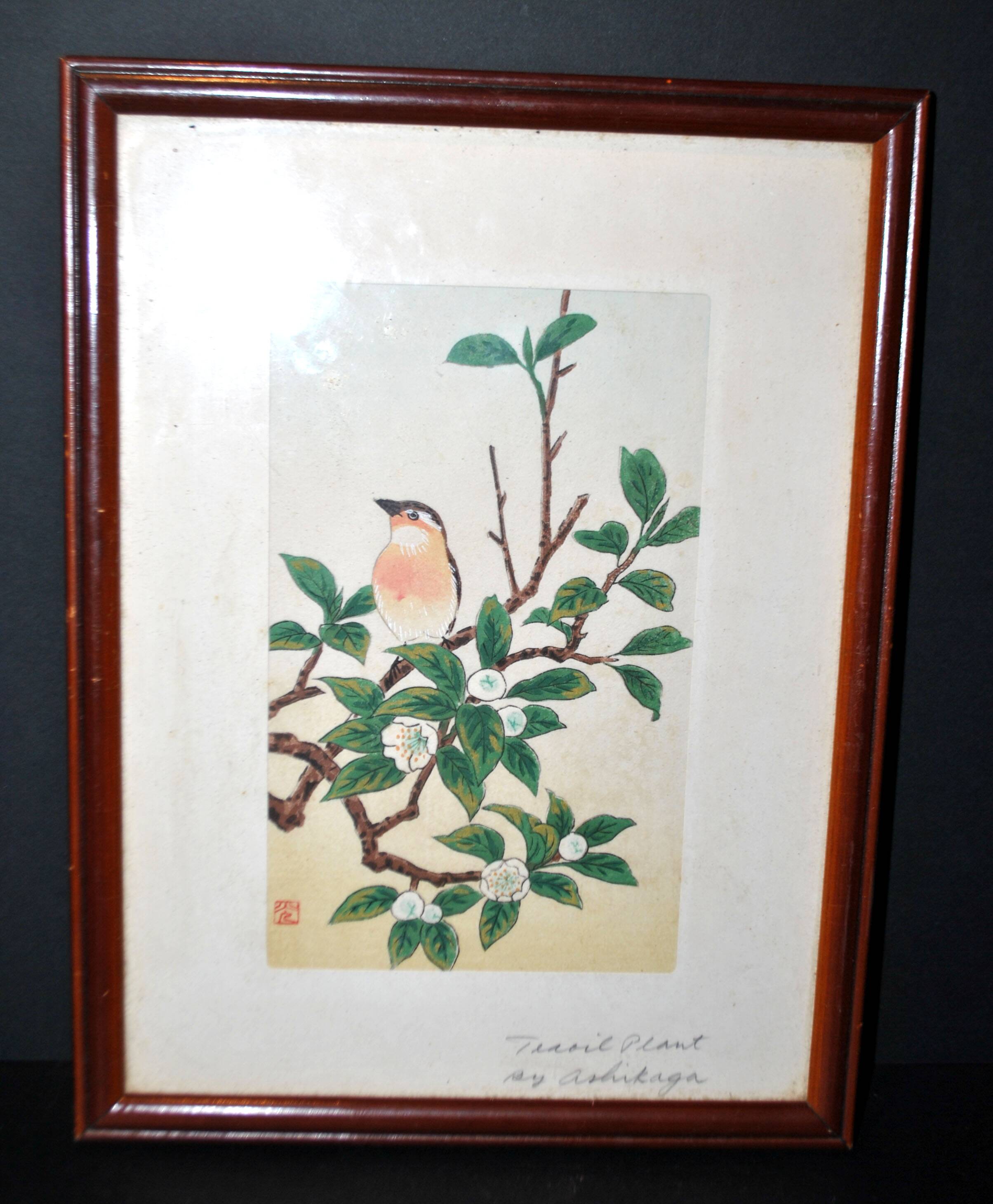 Painting enhanced engraving bird japan signed ashikaga "teaoil plant" 1950
