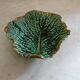 Cabbage leaf in Sarreguemines slip