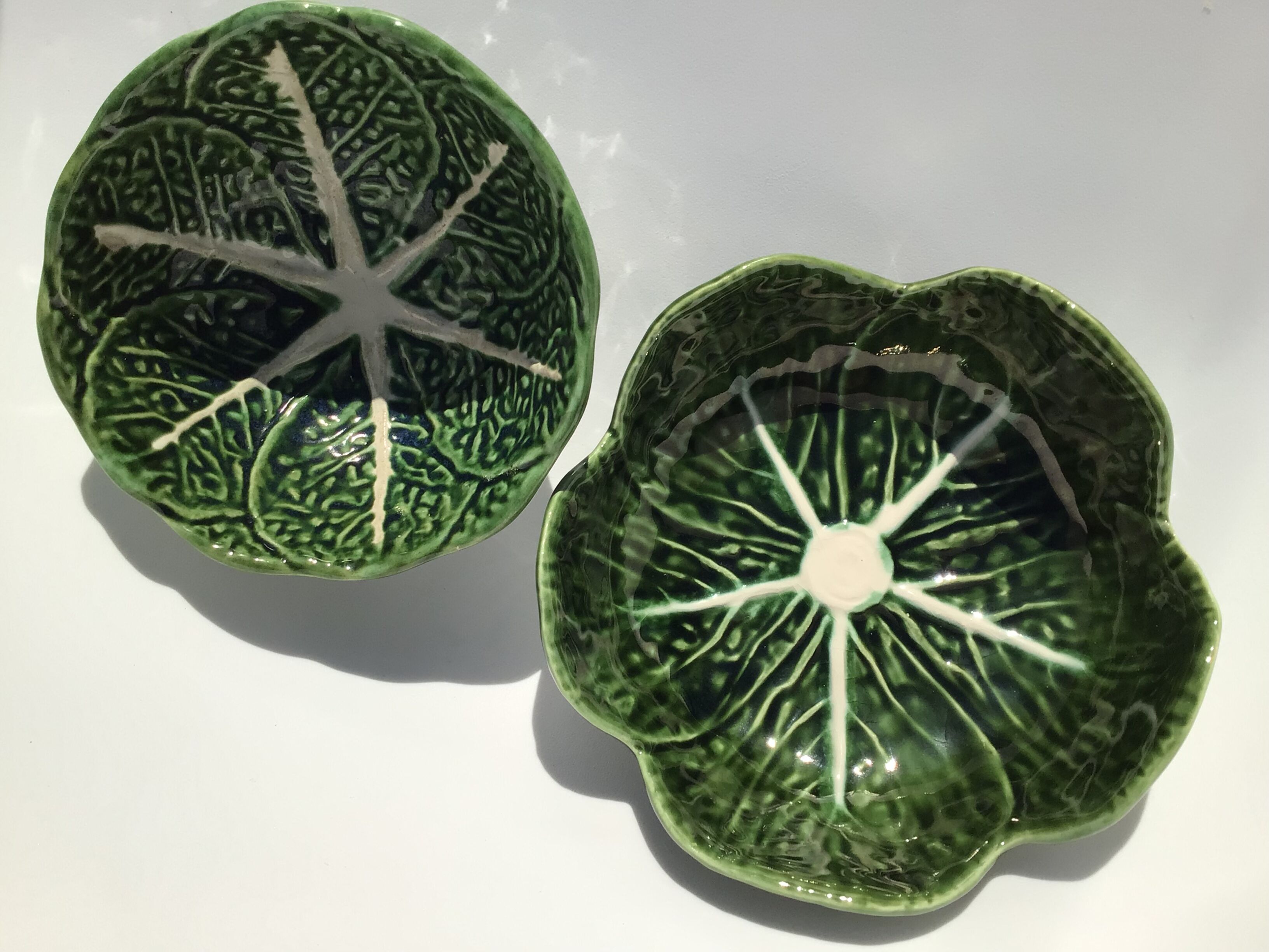 2 bowls slurry cabbage