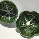 2 bowls slurry cabbage