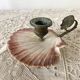 Scallop shell and lion paws candle holder