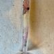 Vintage Frosted Glass Soliflore Vase with Decoration