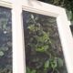 Old translucent glass communication door 82.5x214.2cm