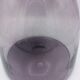 Vintage bubble glass vase