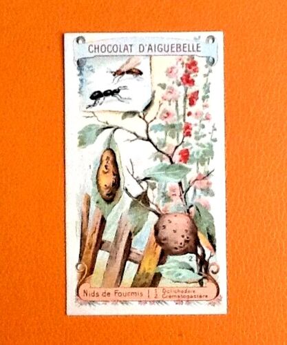 Lot de 5 chromolithographies sur carton Chocolat d'Aiguebelle