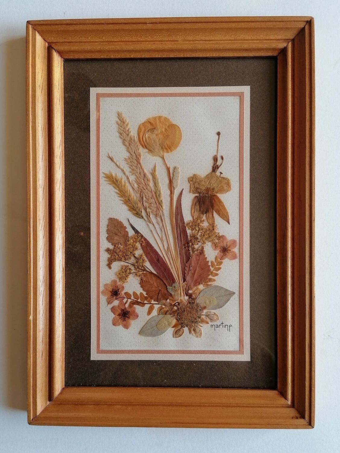 Authentic herbarium signed