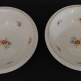 Pair of Digoin earthenware bowls with cliff decoration