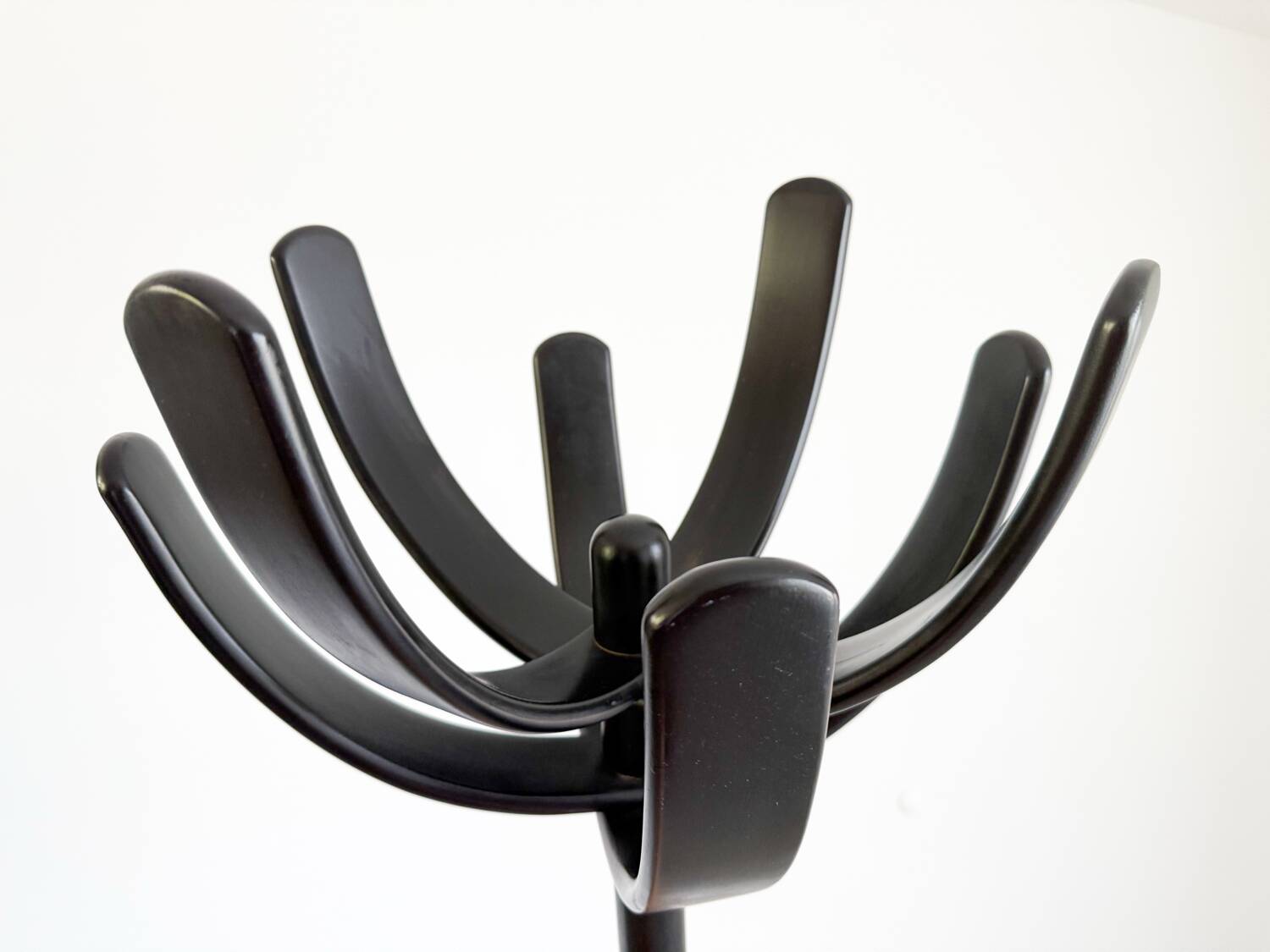 Cactus coat rack by Mauro Pasquinelli, Italy 2970