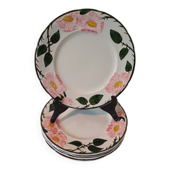 Ensemble de 6 assiettes plates Wild Rose Villeroy et Boch
