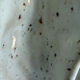 Vase artisanal fait main