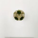 Capiz Shell Pendant Lamp