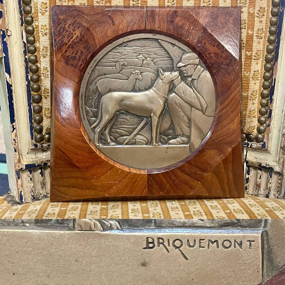 Bronze bas-relief framed in wood signed by Jean Auguste Briquemont (1879-1951)