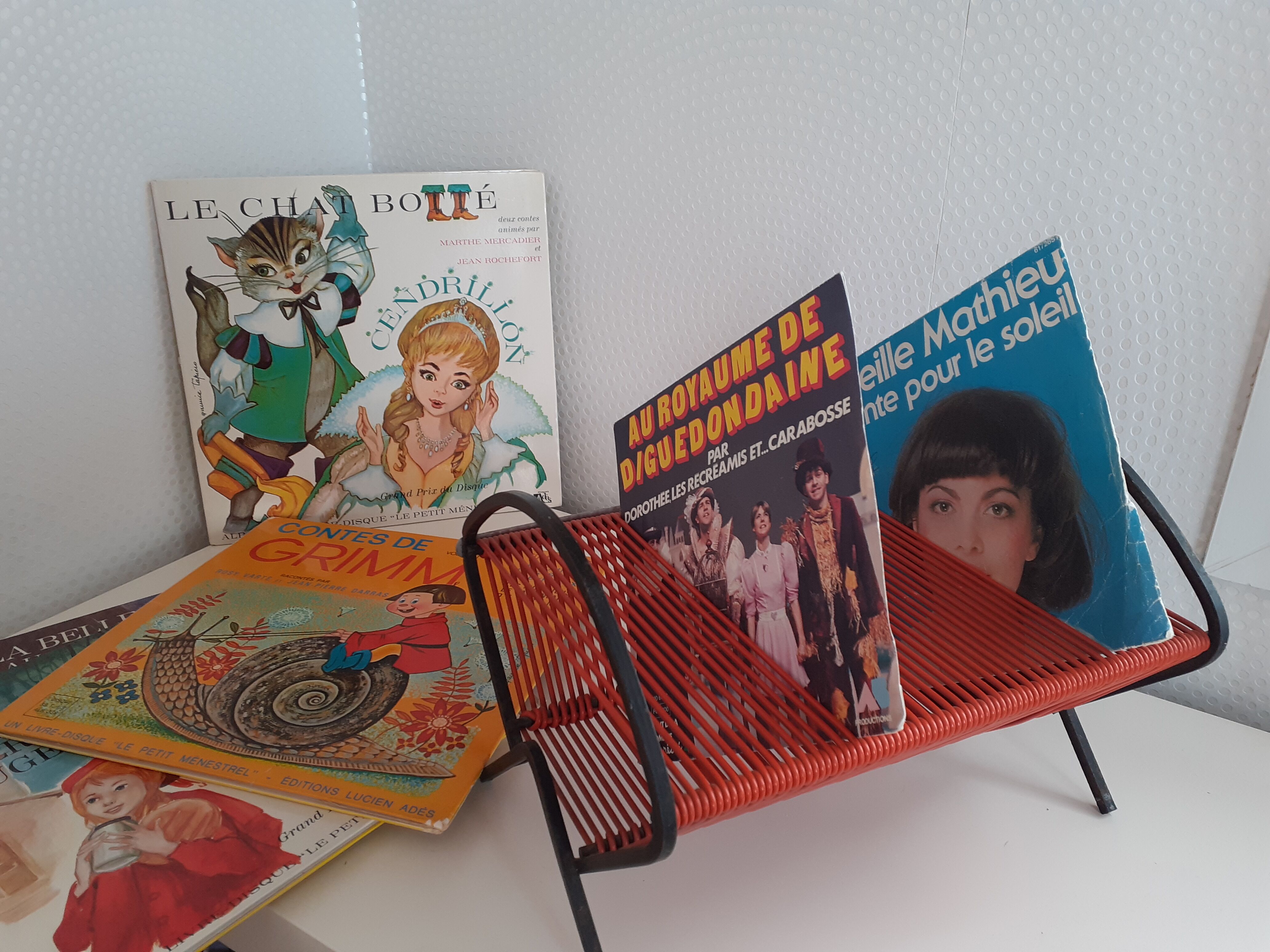 Porte vinyles scoubidou