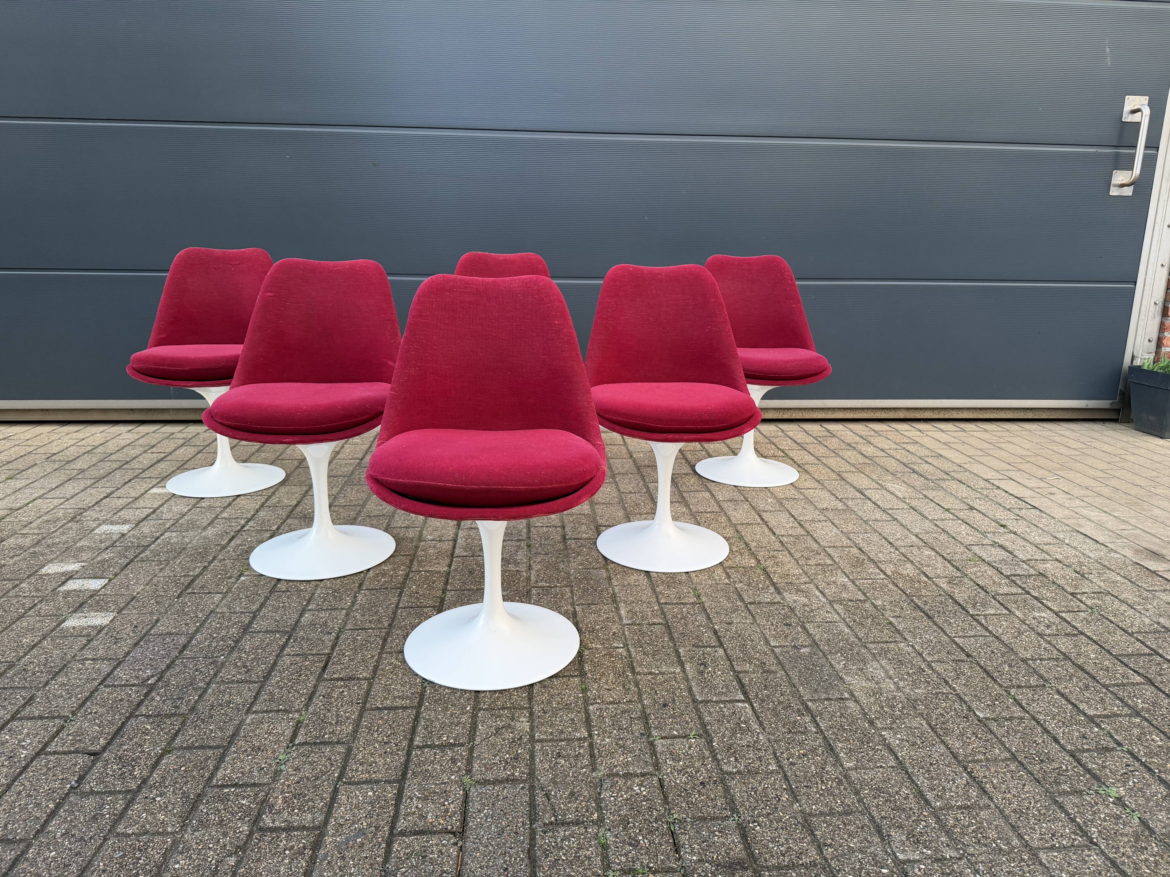 6 original vintage Knoll Tulip chairs by Eero Saarinen