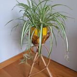 Rattan wicker plant holder
