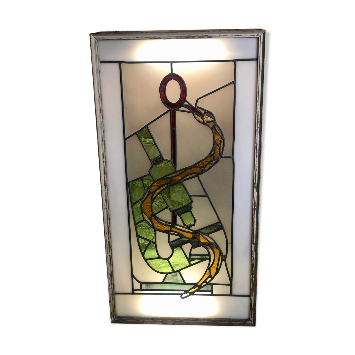 Old stained glass sign with deciduous decoration and microscope