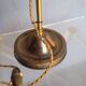 Tulip swan neck desk lamp in frosted glass