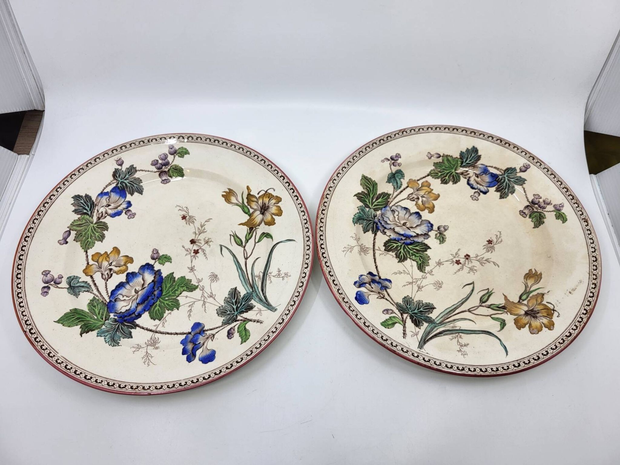 Victorian plate set by Brownfield & Sons model "Texas" England 1880