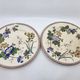 Victorian plate set by Brownfield & Sons model "Texas" England 1880