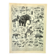 Botanical engraving 1897 A. Millot - Paleontology 2, prehistory