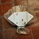 Shell wall lamp, murano glass, italy, 1970