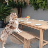 Table de ferme 2,50m