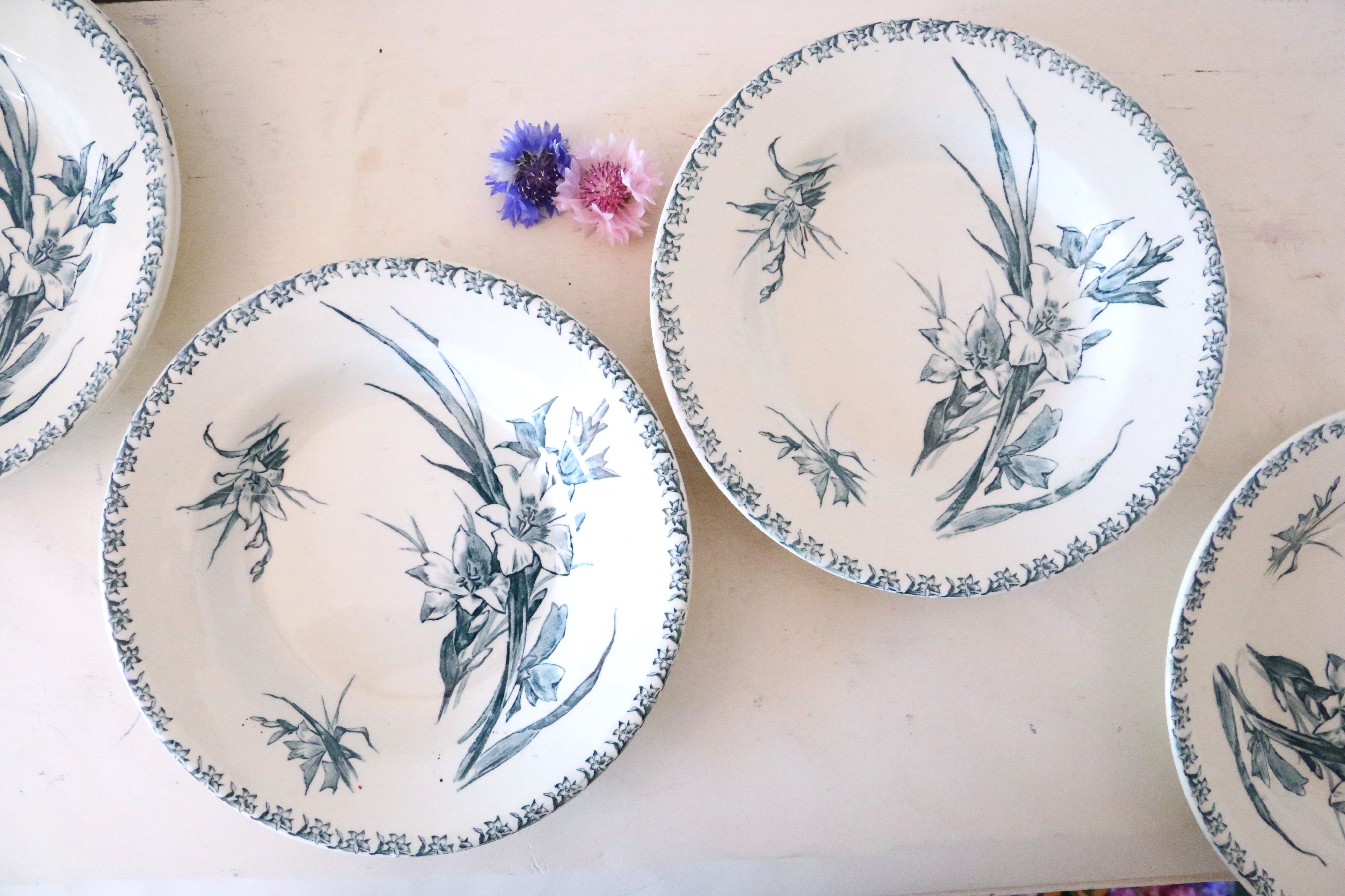 Hollow plates x5, Gien, Glaieul pattern, iron earth