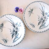 Hollow plates x5, Gien, Glaieul pattern, iron earth