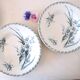 Hollow plates x5, Gien, Glaieul pattern, iron earth