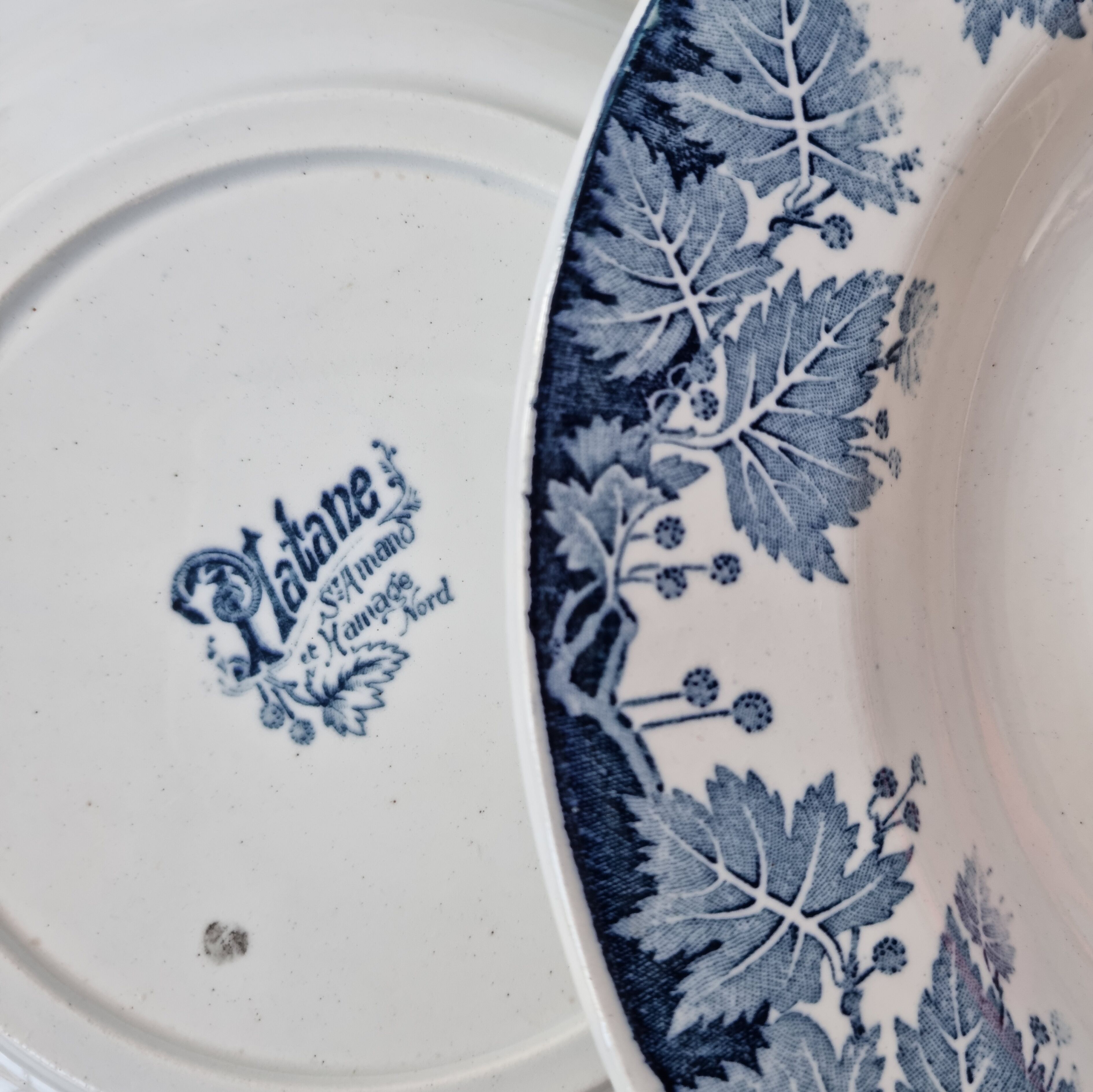 Set of 6 hollow plates Platane St Amand and Hamage