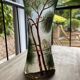 Vase art nouveau
