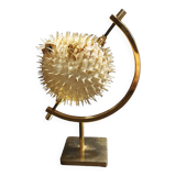 Cabinet of Curiosities naturalized fish diodon holocanthus with display