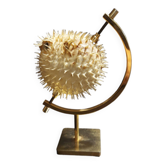 Cabinet of Curiosities naturalized fish diodon holocanthus with display